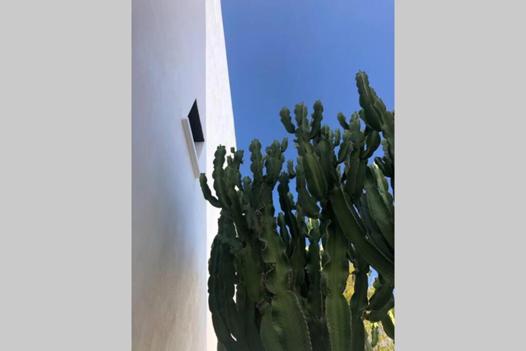 Villa Casa Granado En Cabo De Gata Rodalquilar Exterior foto